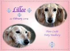 Lillee