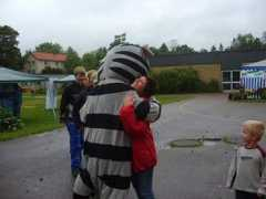 Lillerud