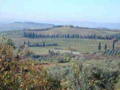 paradoxplace.com Lilliano