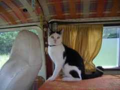 busdriver.sk Lilom