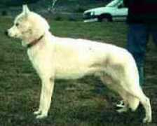 hhuskycolors.com Liloup