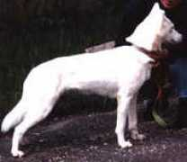 hhuskycolors.com Liloup