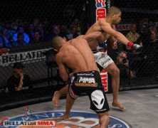 suckerpunchent.com Limako