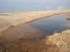 panoramio.com Liman