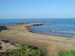 panoramio.com Liman