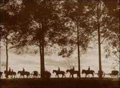 greatwar.nl Limbers