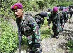 news.bbc.co.uk Limboro