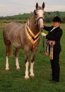 landmarkstud.com Limburn