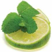 leciva-kosmetika.cz Limetka