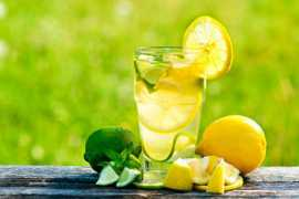bodieko.si Limonad