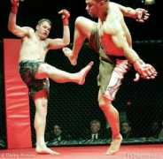 fcfighter.com Limond