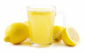 bodieko.si Limone