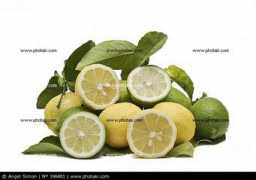 photaki.es Limones