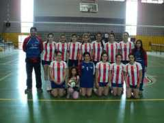 fevochi.cl Linar