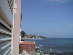 idsal.com Linare