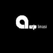 anja.linasi.si Linasi