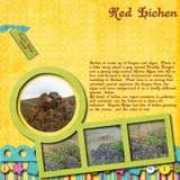 scrapbooksgonedigital.com Linchen