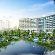 hn.soufun.com Linchun