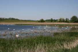 panoramio.com Lindre