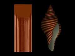 algorithmicbotany.org Lineth