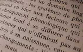 beautifulcynicism.ca Linguistique