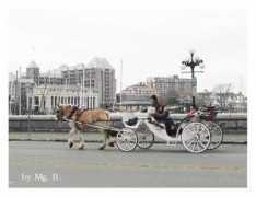 travel.westca.com Linsen