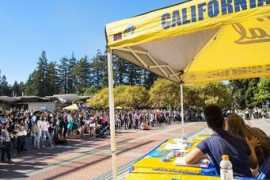 dailycal.org Linsha