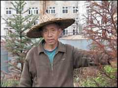 nizigen.info Linsong