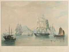 portcities.org.uk Lintin