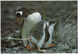 bent-sture.dk Linuxer