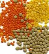 vitamor.com Linzen