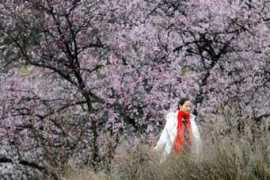 english.sina.com Linzhi