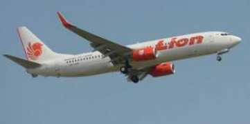 geopolis.francetvinfo.fr Lionair