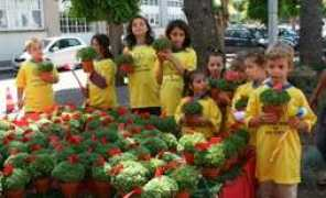 lbv.pt Lionesa