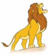 Lionk