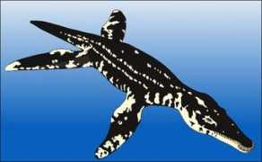 kenozoicum.nl Liopleurodon