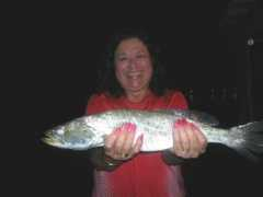 reelcajun.com Lipita