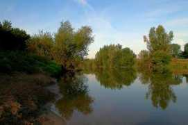 Lippe