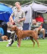 ridgeback.nu Lirca