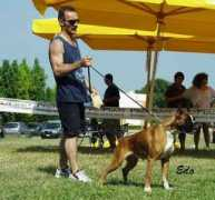 clikkailboxer.com Lisabel