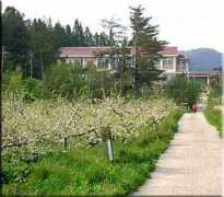 jali.net Lishan