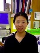 .utsouthwestern.edu Lisong