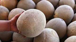 latino.foxnews.com Listeria