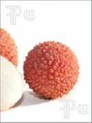 featurepics.com Litchi