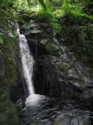 sv.northrup.org Litet