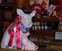 arkansas-ope.com Littlepig