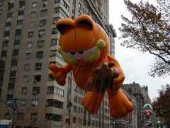 jiaoyou8.com Littlerabbit