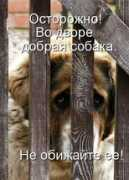 pikabu.ru Liua