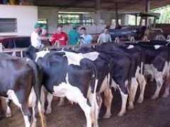 faep.com.br Livaldo
