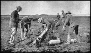 greatwar.nl Livens